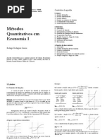 Métodos Quantitativos em Economia I Rodrigo Rodrigues Garcia.pdf