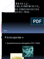 PRODUCCIÓN DE 1,2-PROPANODIOL A PARTIR DE CO2 EMPLEANDO Synechococcus Elongatus PCC 7942.