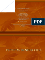 Enfoque Del Proceso de Seleccion