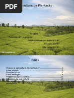 Rosangela, Leonel e maida- agricultura de plantação