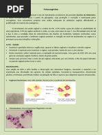 vulvovaginites 04.06