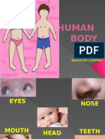 Ppt Human Body