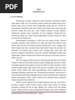 Download makalah biofilm by Phiva Manu SN274270182 doc pdf