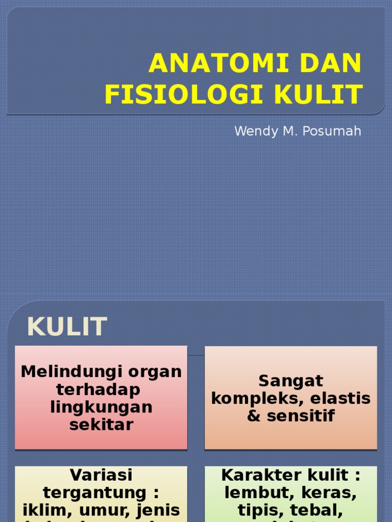 Anatomi &amp; Fisiologi Kulit