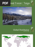 Download Boreal Forest Taiga Biome PowerPoint by C E W  SN27429379 doc pdf