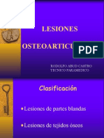 Lesiones Articulares