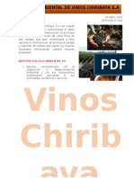 Vinos Chiribaya Pol Ambiental-80