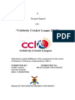 2013 Celebrity Cricket League