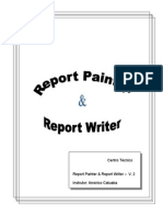 Report Painter & Writer