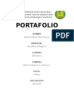 PORTAFOLIO 2DO INTERCICLO