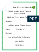 CHALCO ADRIANA MVZ.1.pdf