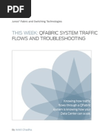 TW QFabric TrafficFlows