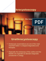 urethrosistoskopi