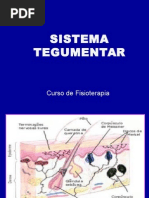 Introdução Ao Sistema Tegumentar 2015.2