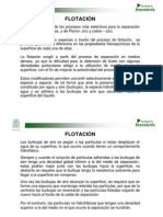 Flotacion PDF