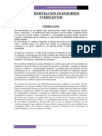 La Administracion en Entornos Turbulentos