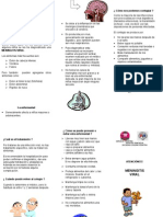 Triptico Meningitis Viral