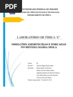 OSCILAÇÕES 1º RELATÓRIO