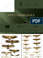 Ptice Grabljivice