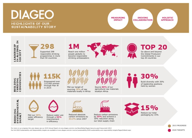 Diageo Annual Report Sustainability and Responsibility Infographic