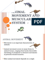 Animal Movement and Muscular Systems Guide