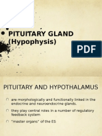 The Pituitary Gland: Roles of the Adenohypophysis and Neurohypophysis