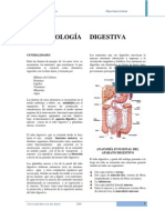 Apuntes de Fisiologia Digestiva