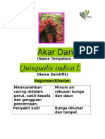 Akar Dani