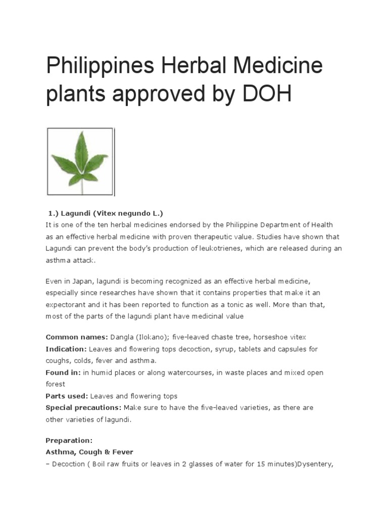 Philippines Herbal Medicine Plants Approved by DOH PDF Garlic Clove