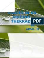 Places in An Around Thekkady: BY Ajmal. M