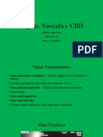 Hígado, Vesícula y CBD: Glodys Lugo Rosa Dms 201 Ca Prof. A. González