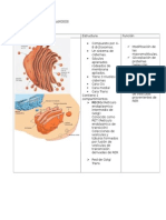 ORGANELOS-MEMBRANOSOS 1