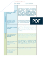 REFLEXION Y AUTOEVALUACION MODULO III