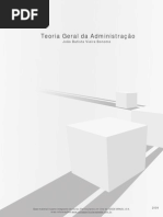 Teoria Geral Da Administracao 04