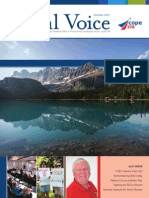 Local Voice and Financial Report Summer 2015