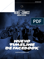 Informe Timeline Facebook 