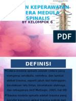 Cidera Medula Spinalis
