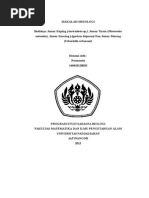 Download MAKALAH MIKOLOGI-normanita 140410120020docx by Normanita Nita SN274481924 doc pdf