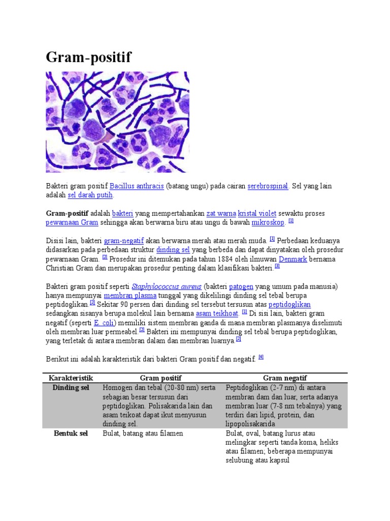 Gram Positif Dan Negatif