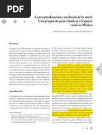 8 Conceptualizacion y Medicion de Lo Rural