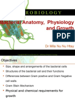 2. Bacterial AnP