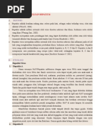 Download LaporanPendahuluanHepatitisbyRizkiSakaetSN274508212 doc pdf