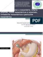 Doenças do epíplon e mesentério