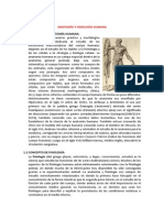 anatomia-fisiologia-humana.pdf