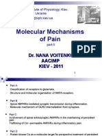 Molecular Mechanisms of Pain: Dr. Nana Voitenko Aacimp KIEV - 2011