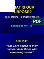 What Is Our Purpose?