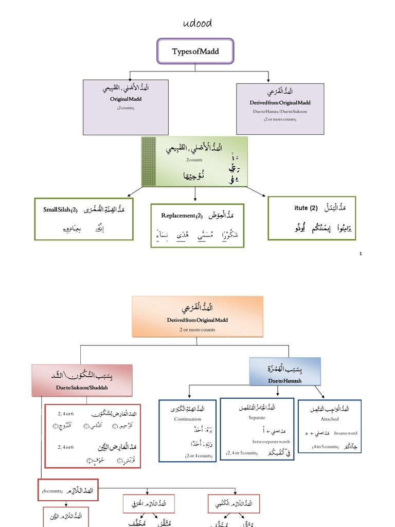 Types of Madd in Tajweed Explained | PDF | Languages Of Israel | Phonology