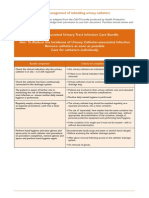 Catheter-Associated Urinary Tract Infection Care Bundle