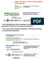 Retroviruses 205