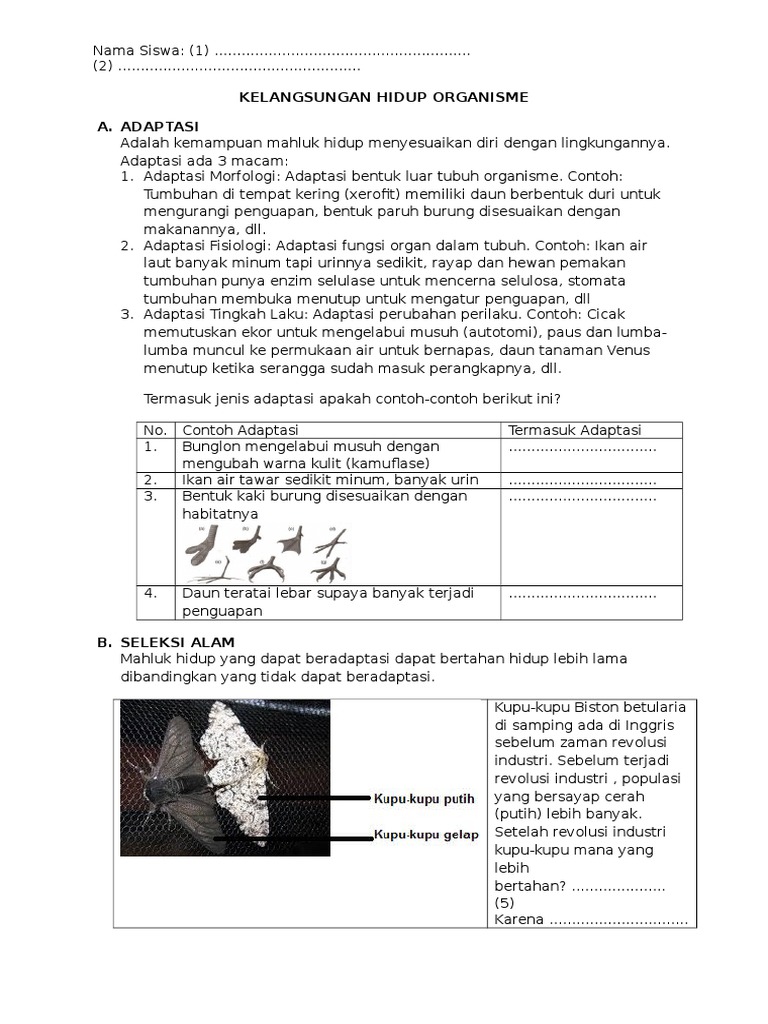 Lks Kelangsungan Hidup Organisme